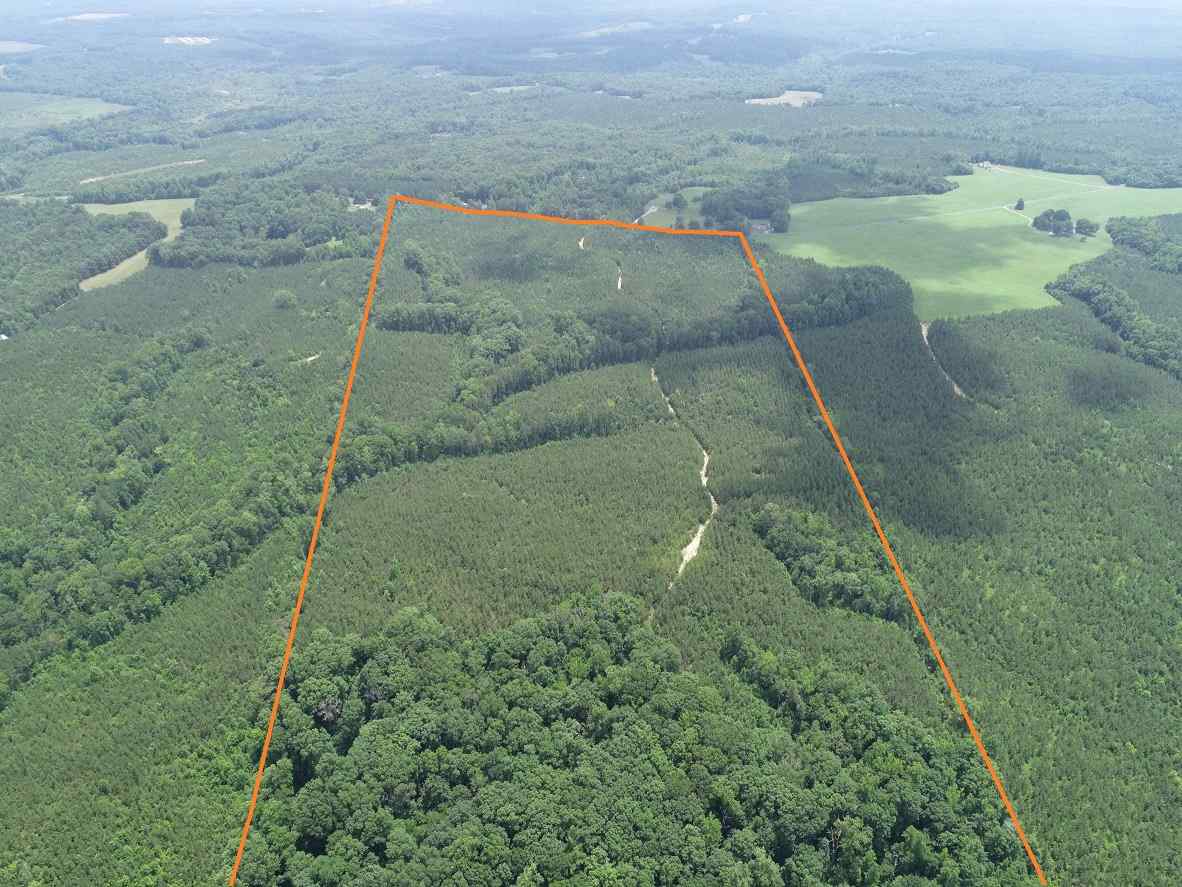 Advance Land and Timber Land for sale property_imgs/5~204.jpg