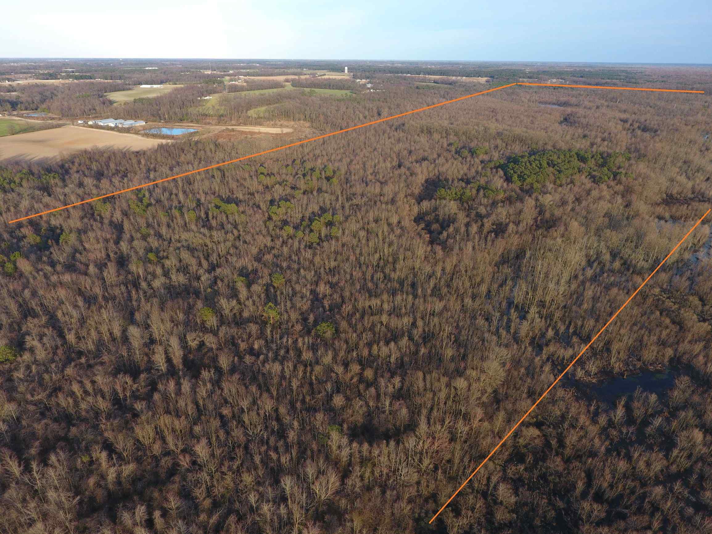 Advance Land and Timber Land for sale property_imgs/5~33.jpg