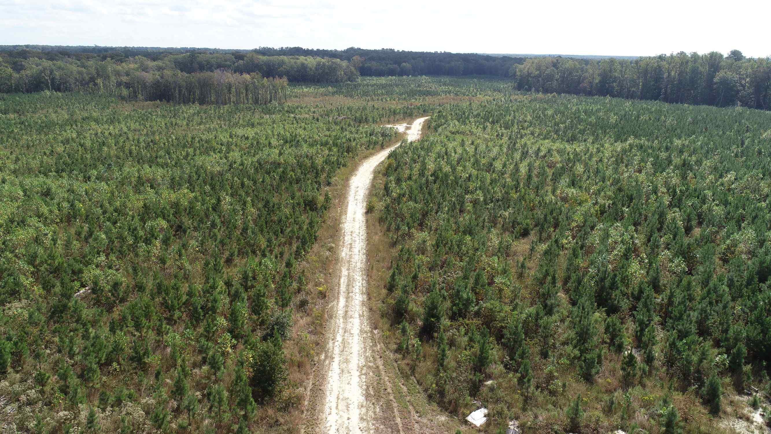 Advance Land and Timber Land for sale property_imgs/5~43.jpg