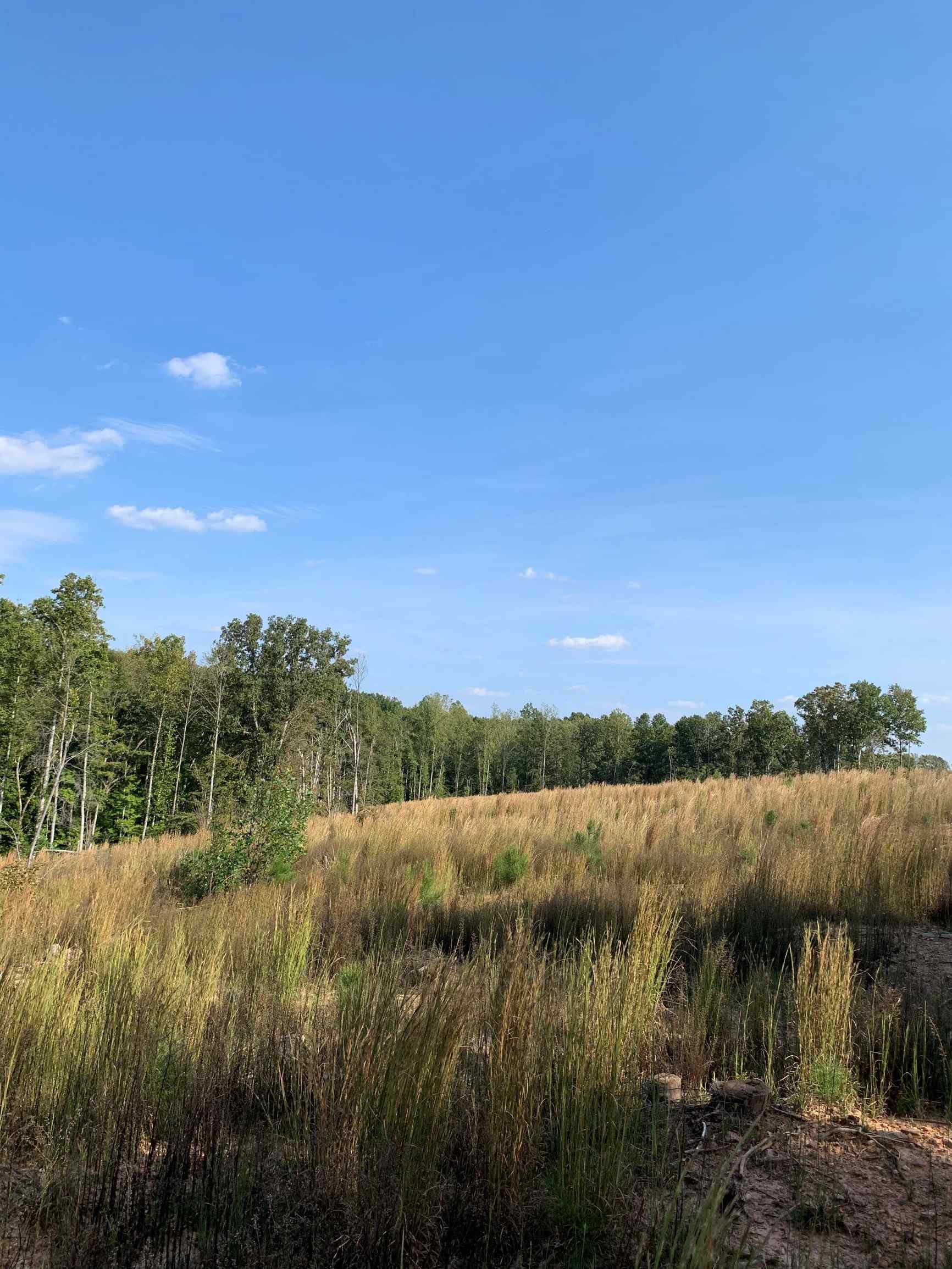 Advance Land and Timber Land for sale property_imgs/5~51.jpg