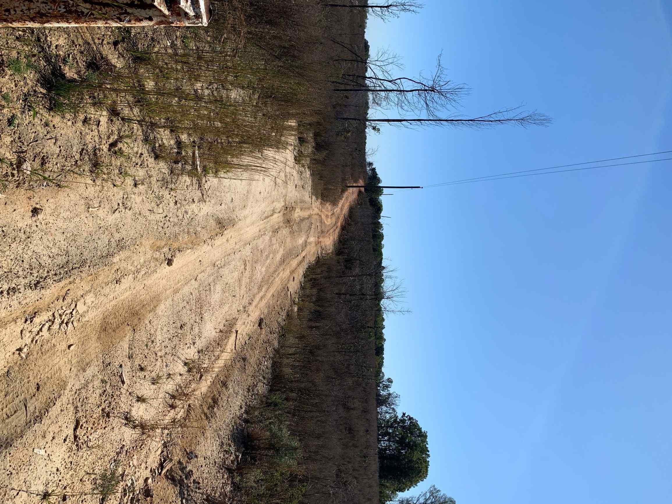 Advance Land and Timber Land for sale property_imgs/5~63.jpg