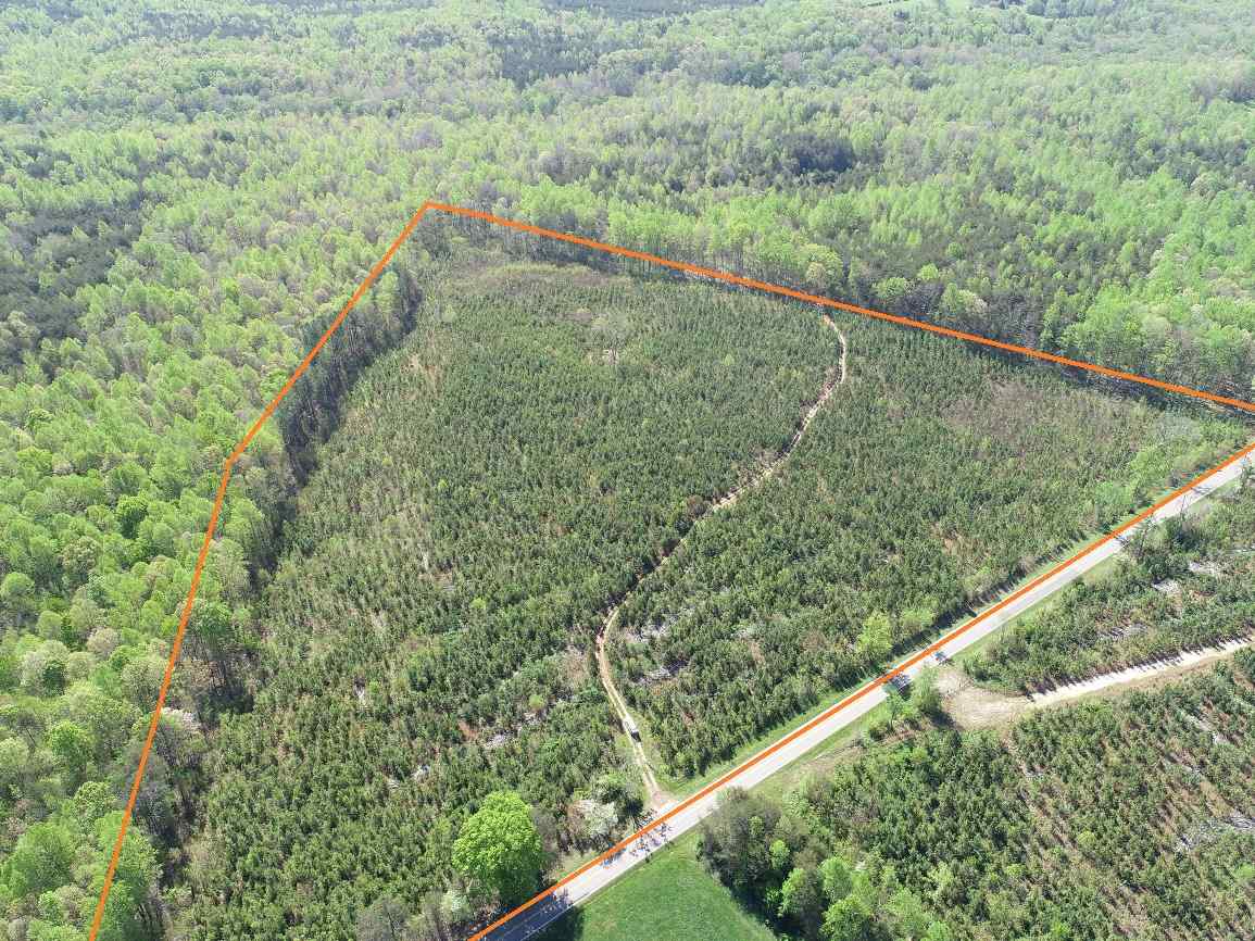 Advance Land and Timber Land for sale property_imgs/5~73.jpg
