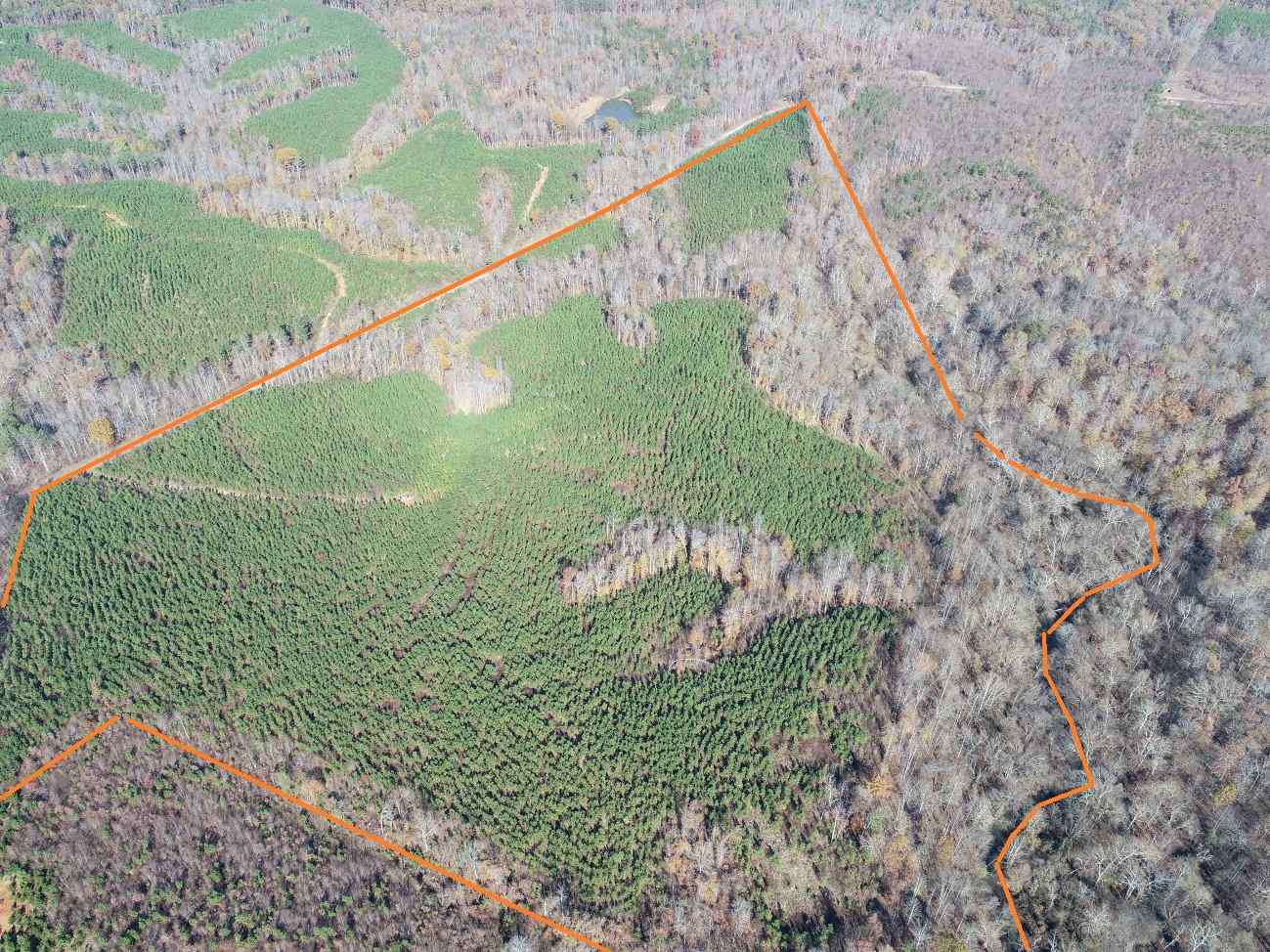 Advance Land and Timber Land for sale property_imgs/5~87.jpg