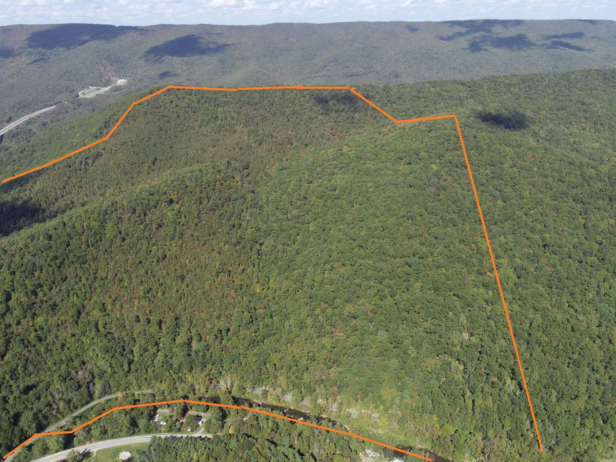 Advance Land and Timber Land for sale property_imgs/5~94.jpg