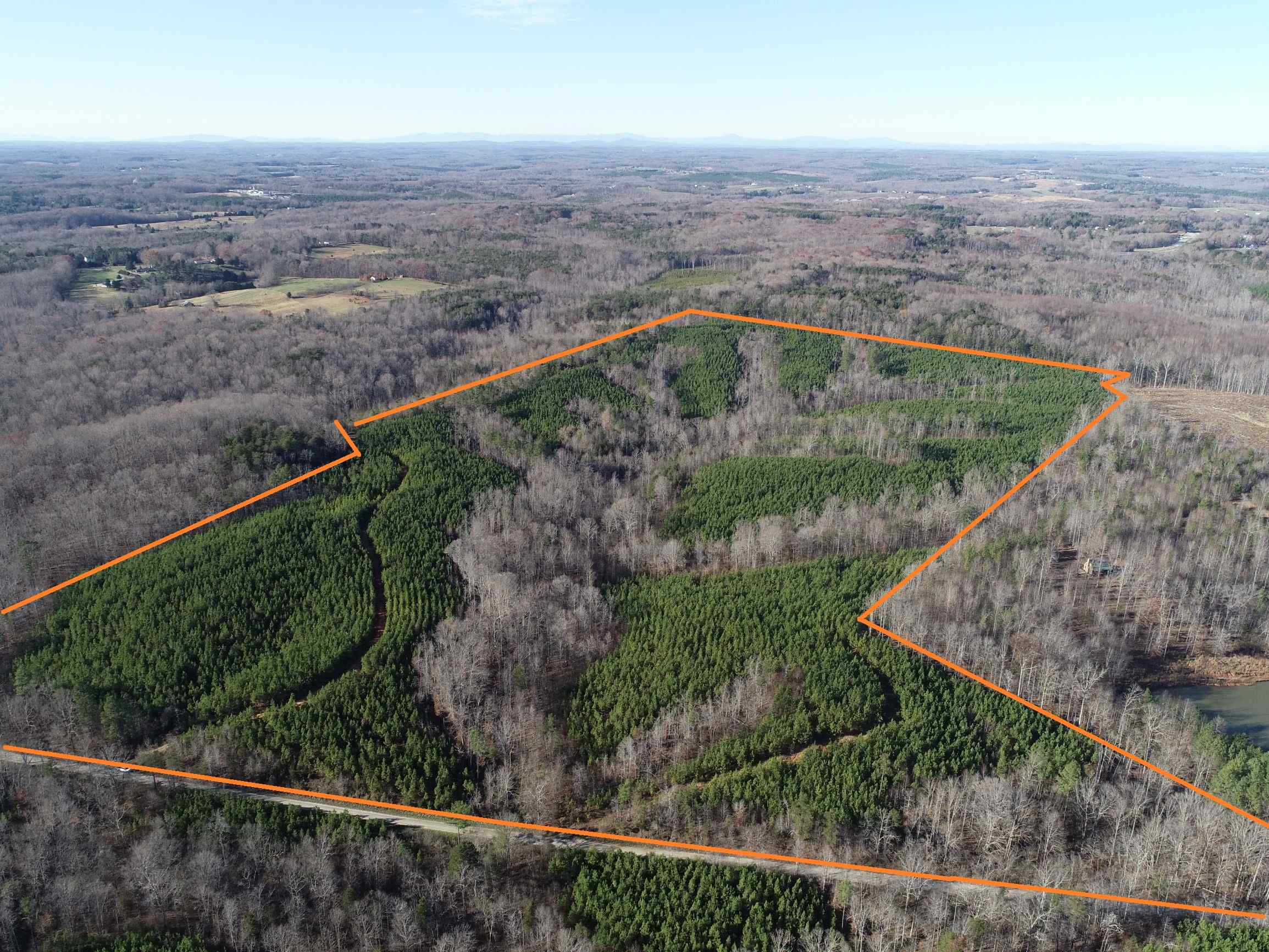 Advance Land and Timber Land for sale property_imgs/5~96.jpg