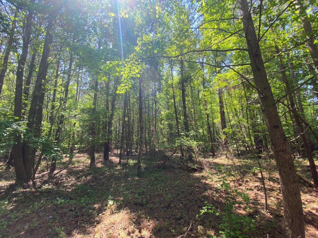 Advance Land and Timber Land for sale property_imgs/60cb558c40e4f18479664069d9642d5a_2026.jpg