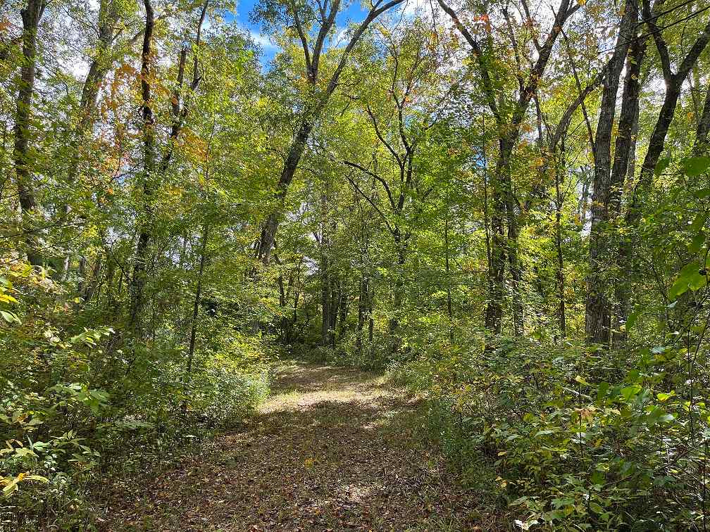 Advance Land and Timber Land for sale property_imgs/61d009da208a34ae155420e55f97abc7.jpg
