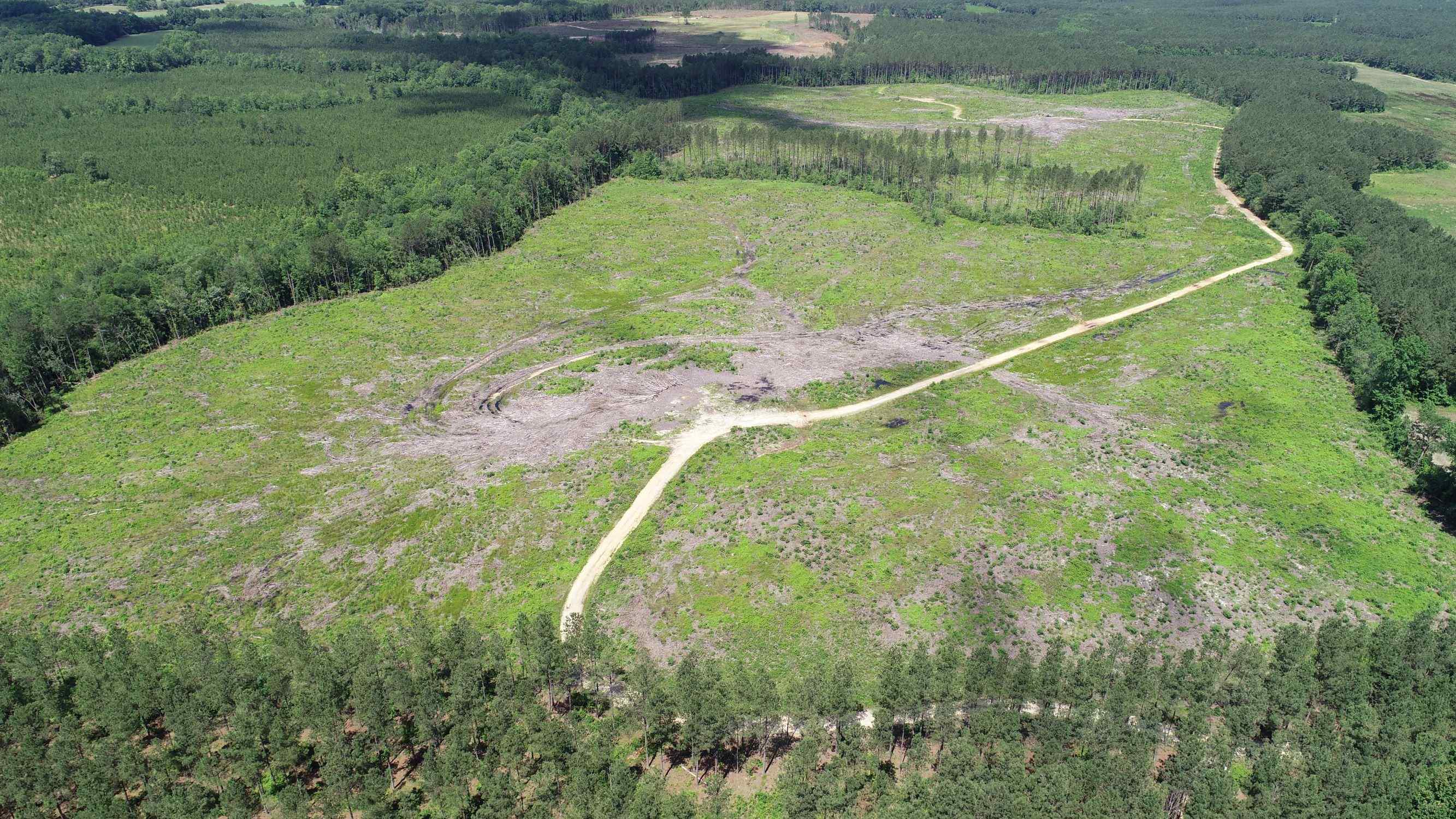 Advance Land and Timber Land for sale property_imgs/62~3.jpg