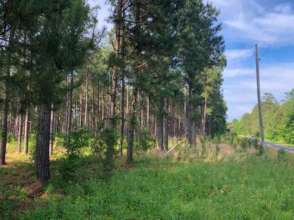 Advance Land and Timber Land for sale property_imgs/63~2.jpg