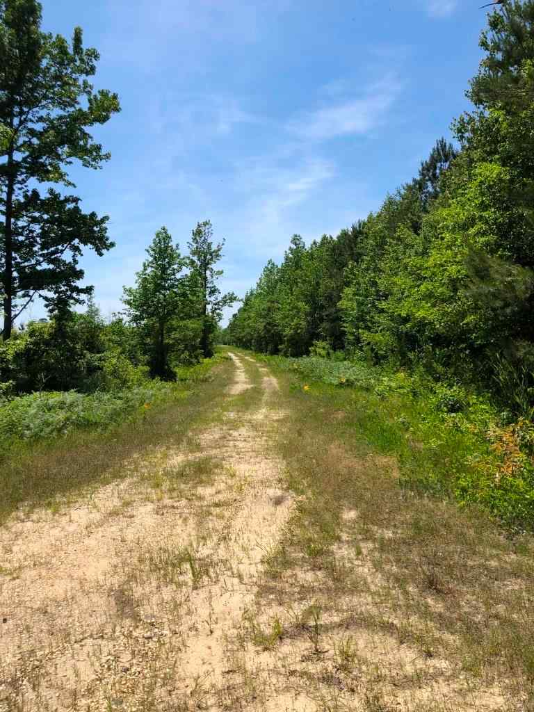 Advance Land and Timber Land for sale property_imgs/64.jpg
