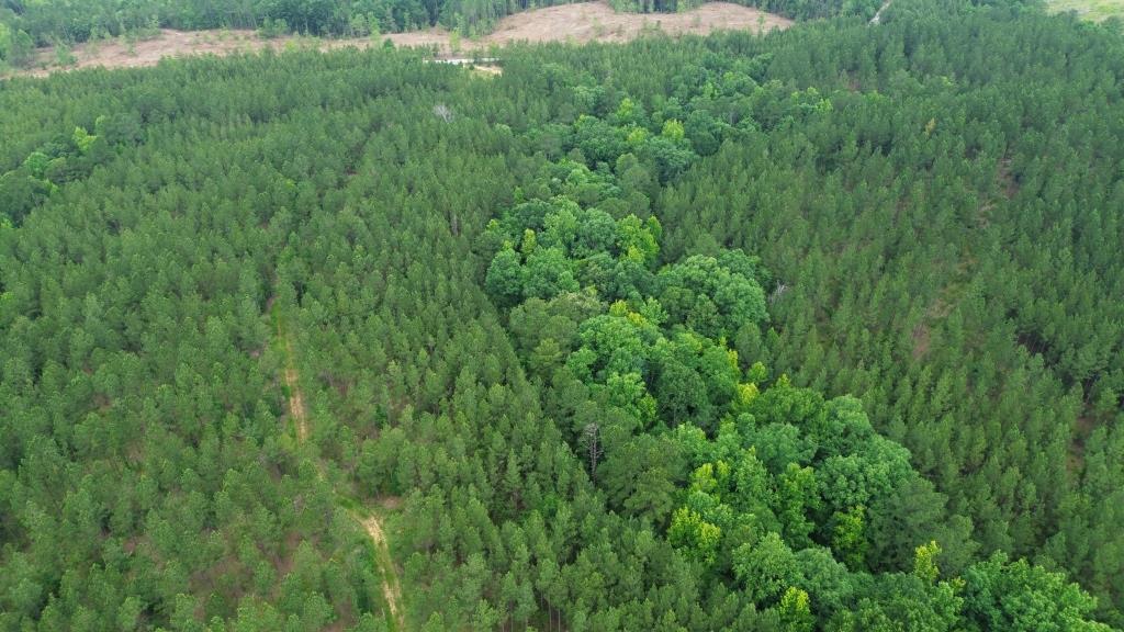 Advance Land and Timber Land for sale property_imgs/642eaa3479d2eb1130f6e0564f00f751_2290.jpg