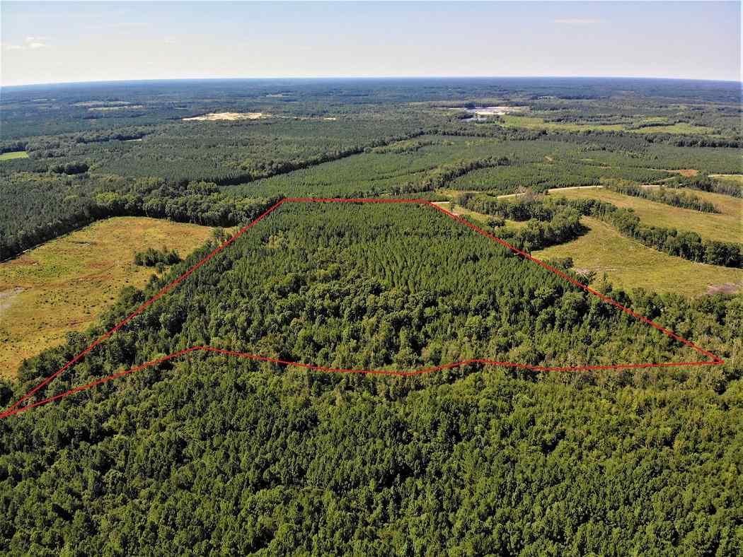 Advance Land and Timber Land for sale property_imgs/6495cf7ca745a9443508b86951b8e33a_1853.jpg