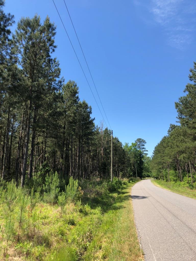 Land for sale in Suffolk County, VA