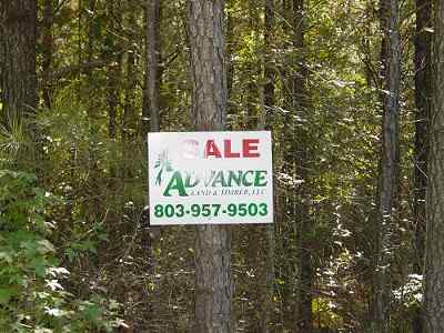 Dillon County South Carolina Land for Sale