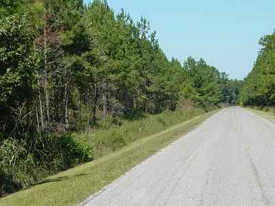 Dillon County South Carolina Land for Sale