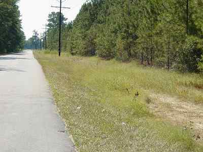 Dillon County South Carolina Land for Sale