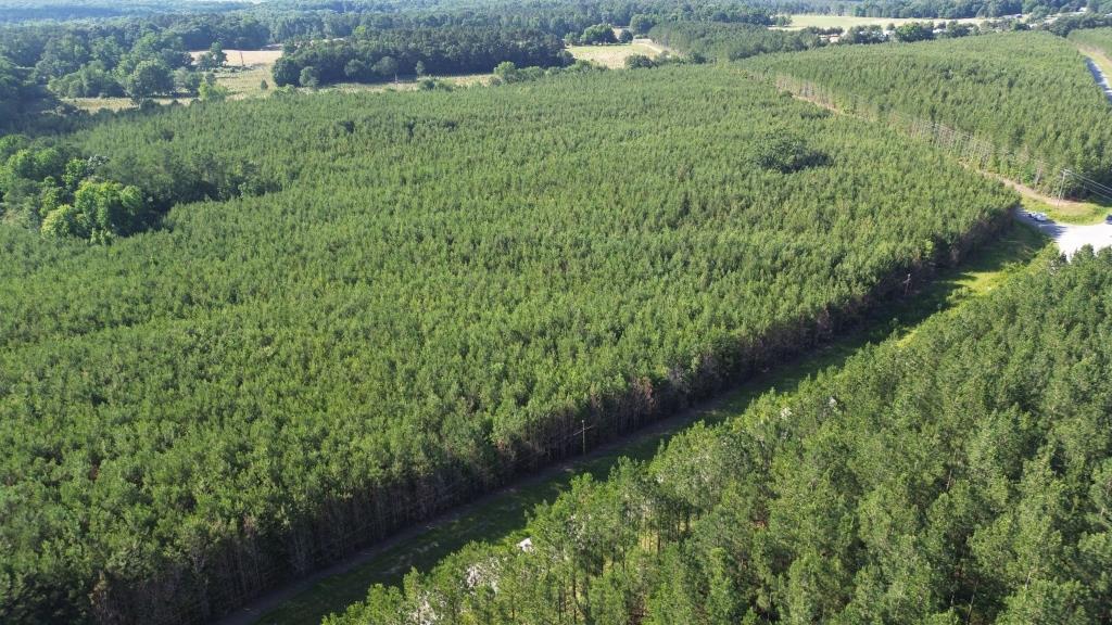 Advance Land and Timber Land for sale property_imgs/67ba02d73c54f0b83c05507b7fb7267f_2294.jpg