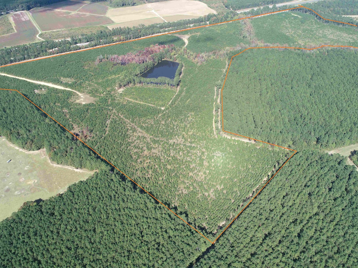 Advance Land and Timber Land for sale property_imgs/696b35cc35e710279b9c2dedc08e22d7_2154.jpg