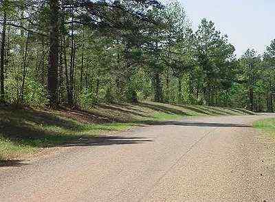 Advance Land and Timber Land for sale property_imgs/6_2.jpg