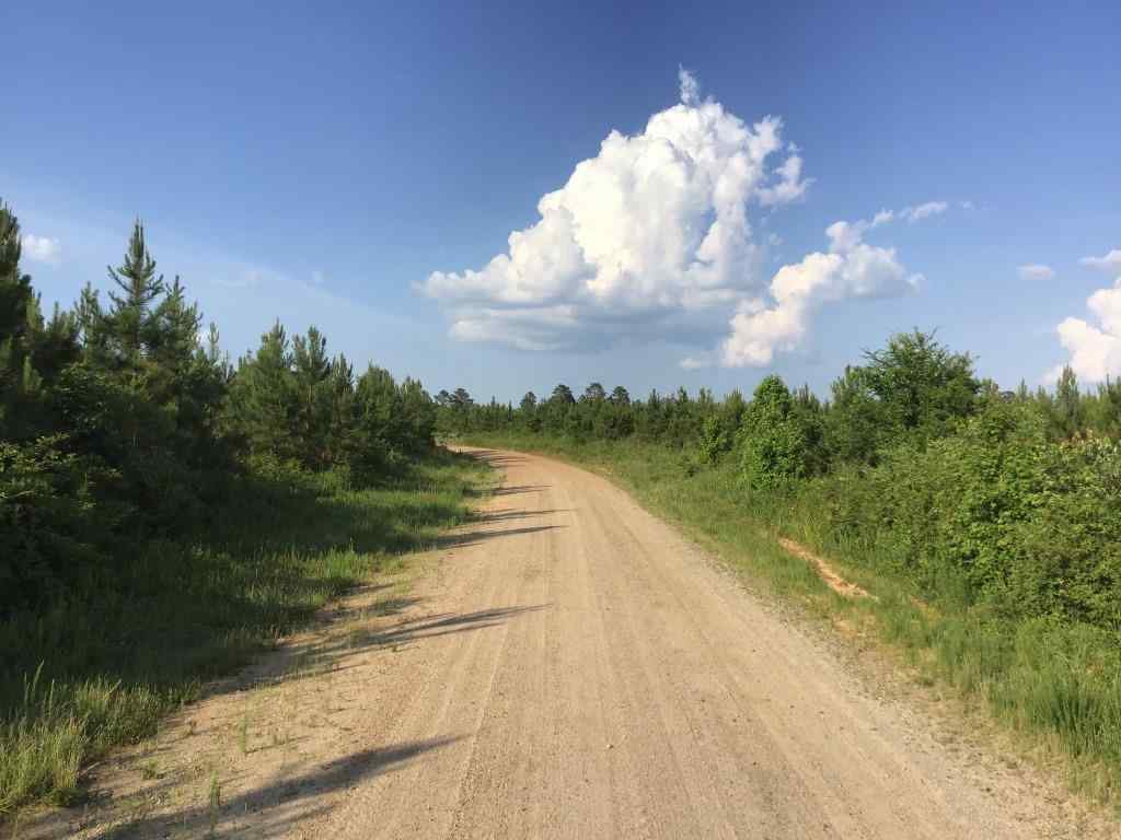 Advance Land and Timber Land for sale property_imgs/6c0958d82a830a02c0718147b1b565c1.jpg