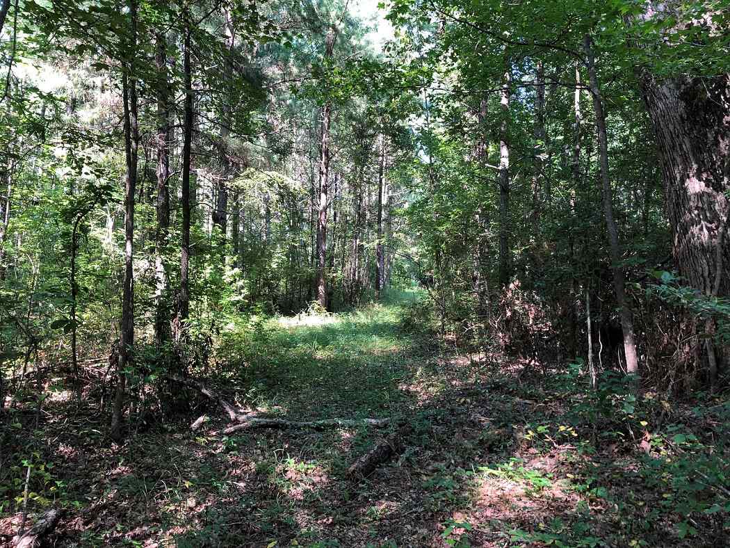 Advance Land and Timber Land for sale property_imgs/6df182582740607da754e4515b70e32d_1853.jpg