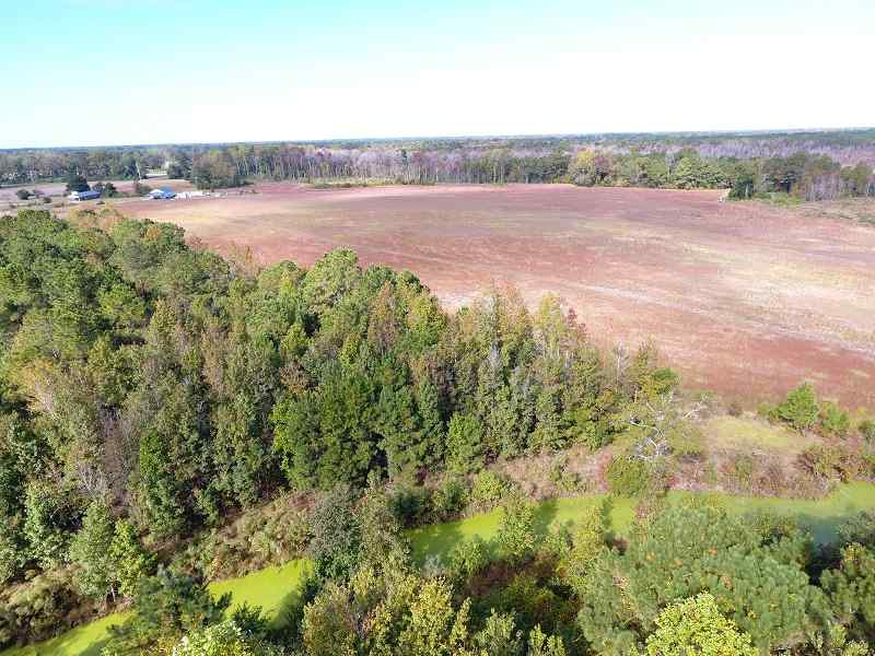 Columbus County North Carolina Land for Sale