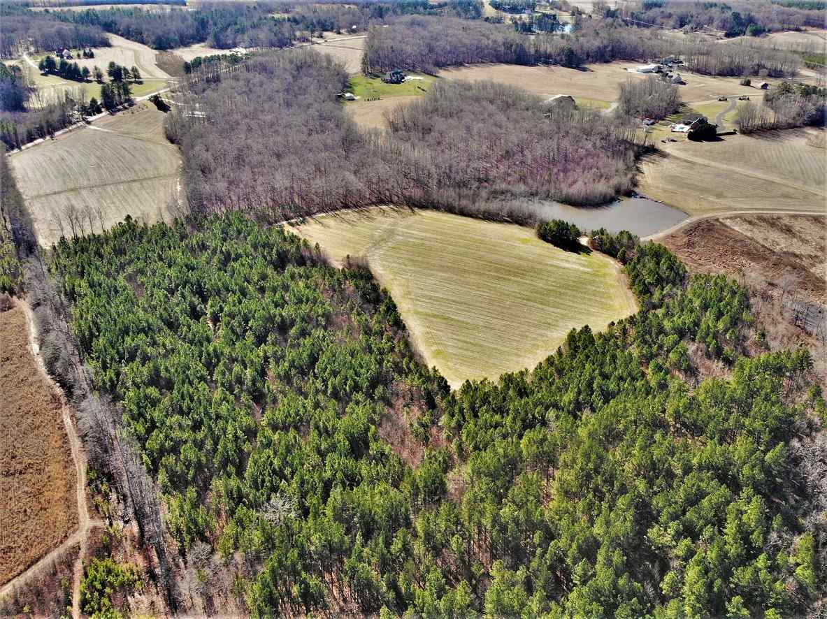 Advance Land and Timber Land for sale property_imgs/6e2290dbf1e11f39d246e7ce5ac50a1e.jpg