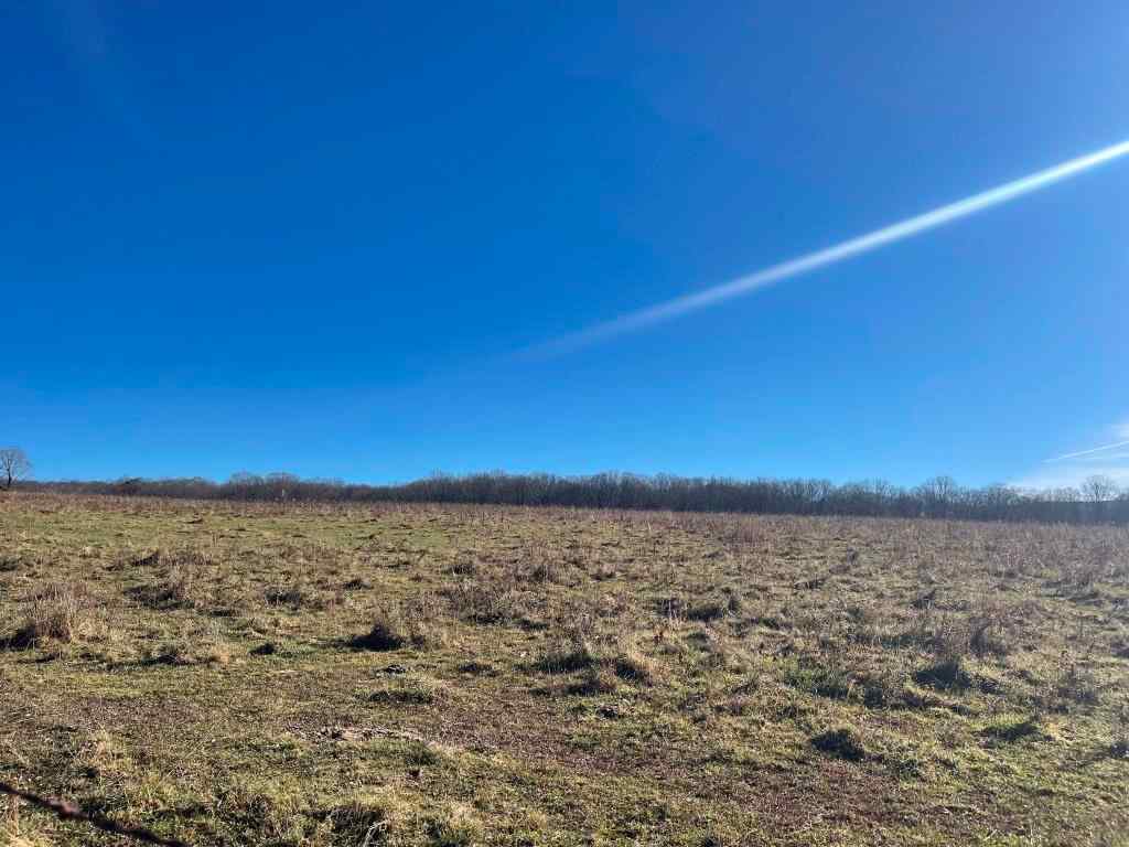 Randolph County West Virginia Land for Sale