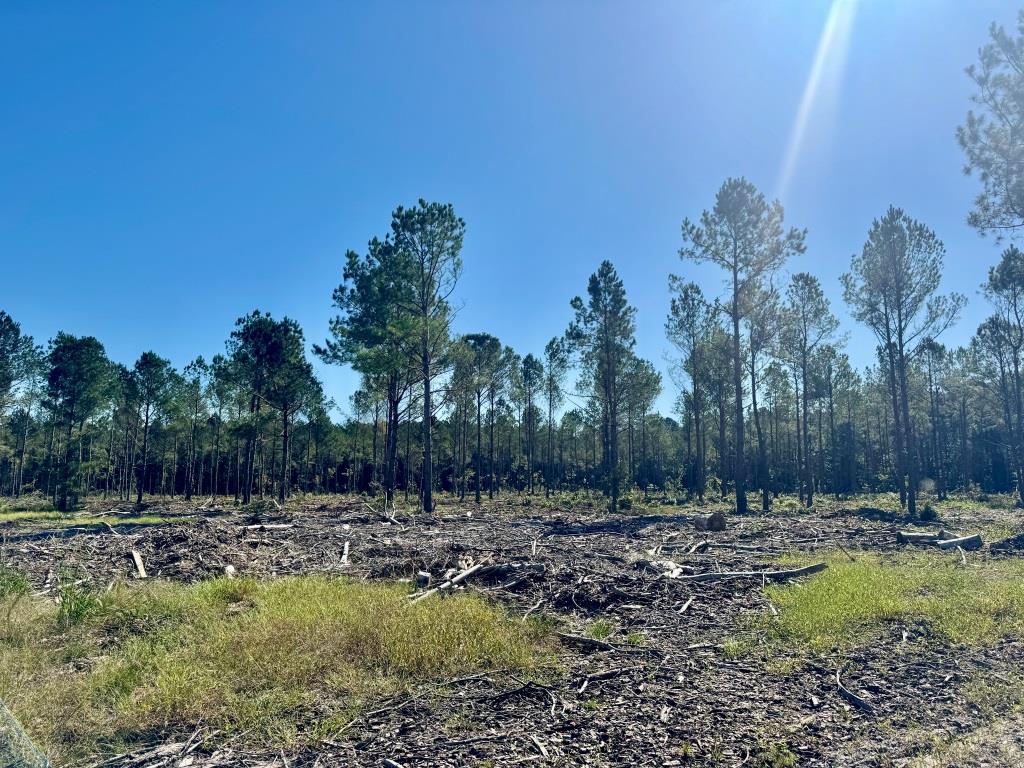 Bladen County North Carolina Land for Sale