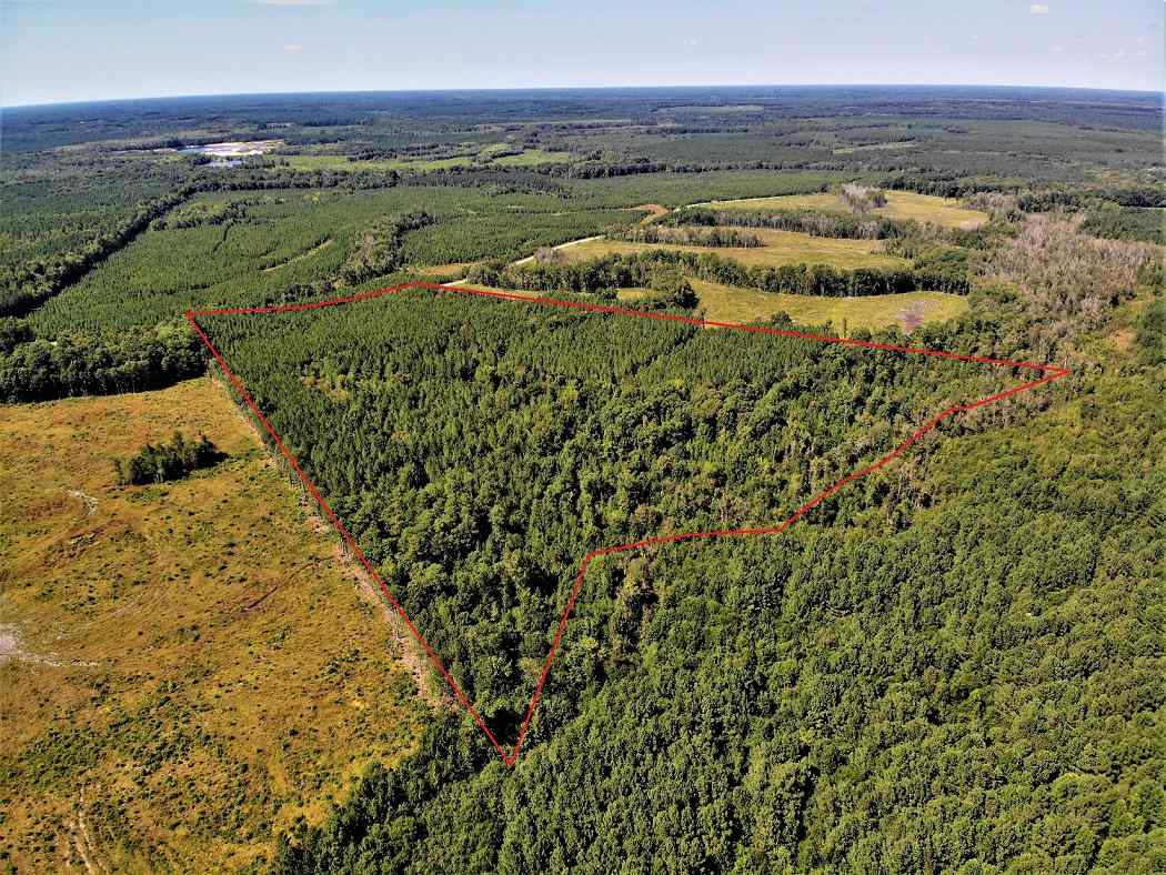 Advance Land and Timber Land for sale property_imgs/6f8805c87ad80ed936bcd5ce4bebe65d_1853.jpg