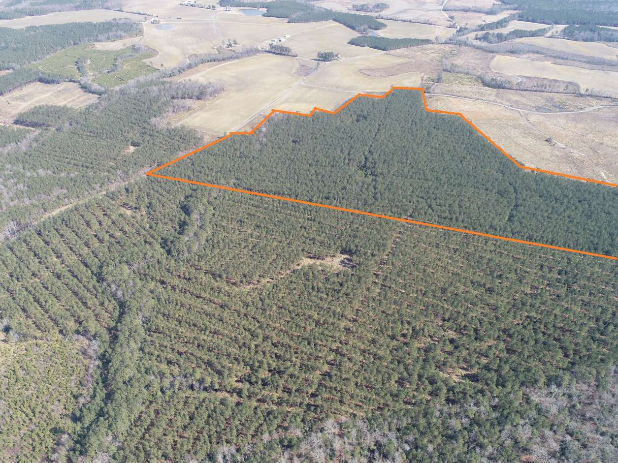 Advance Land and Timber Land for sale property_imgs/6~101.jpg