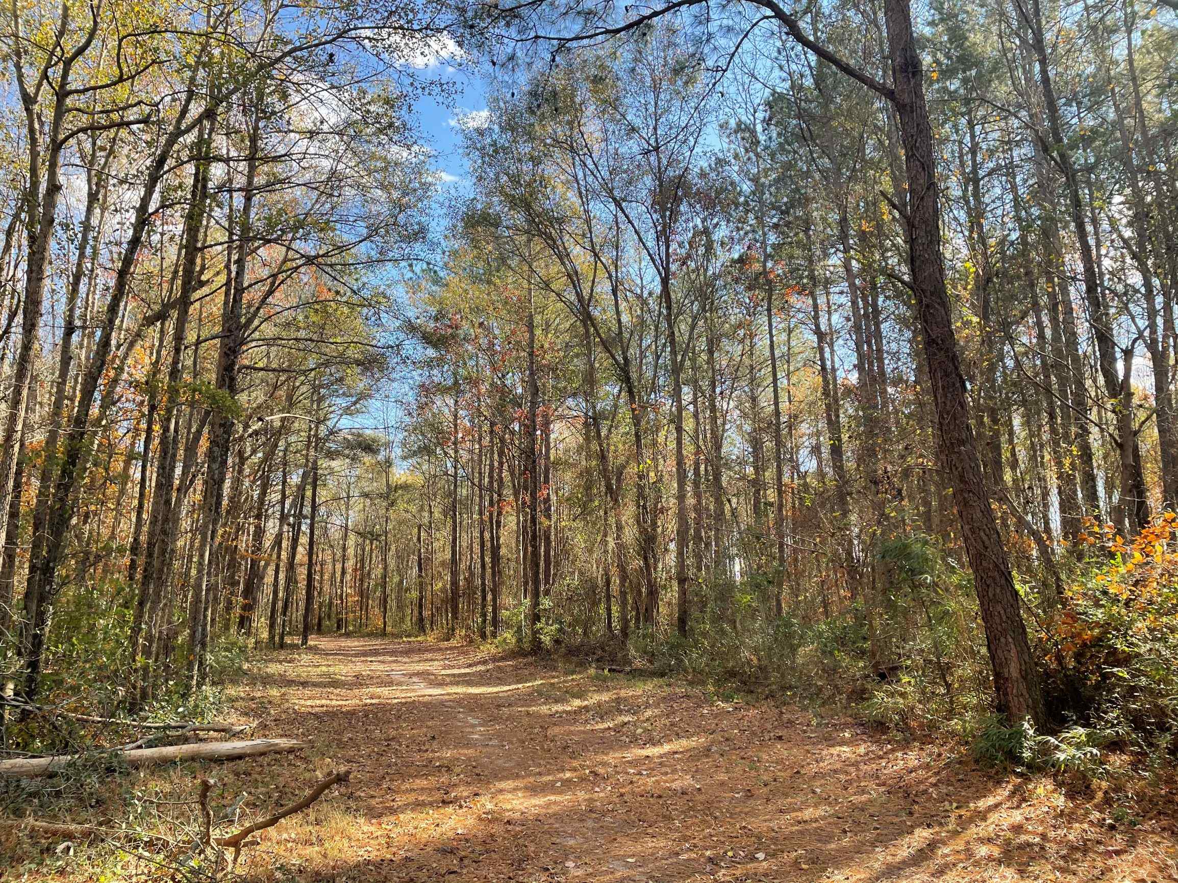 230 acre Spring Hill Farm is located 3 miles east of Tarboro, NC on