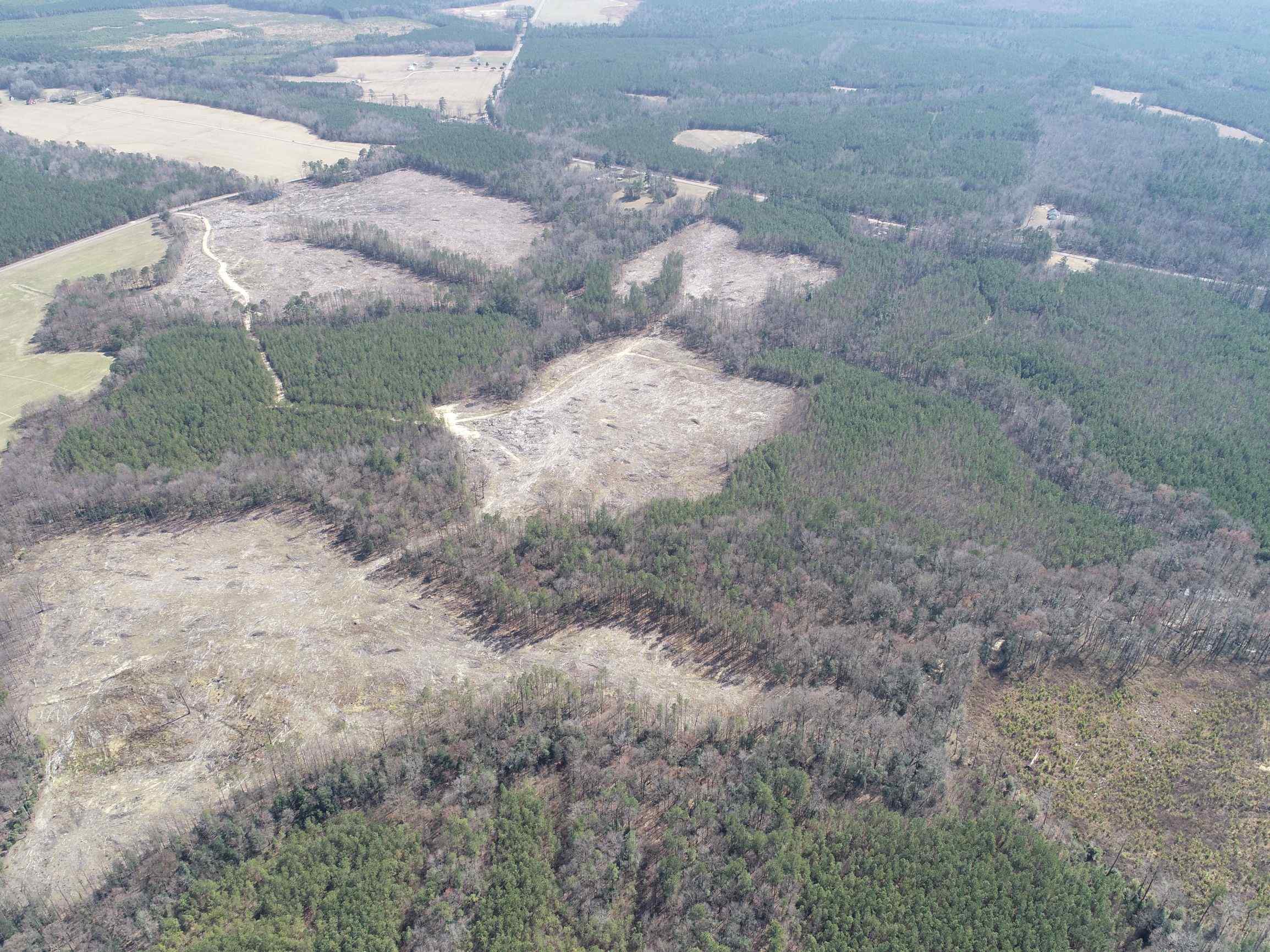 Advance Land and Timber Land for sale property_imgs/6~109.jpg