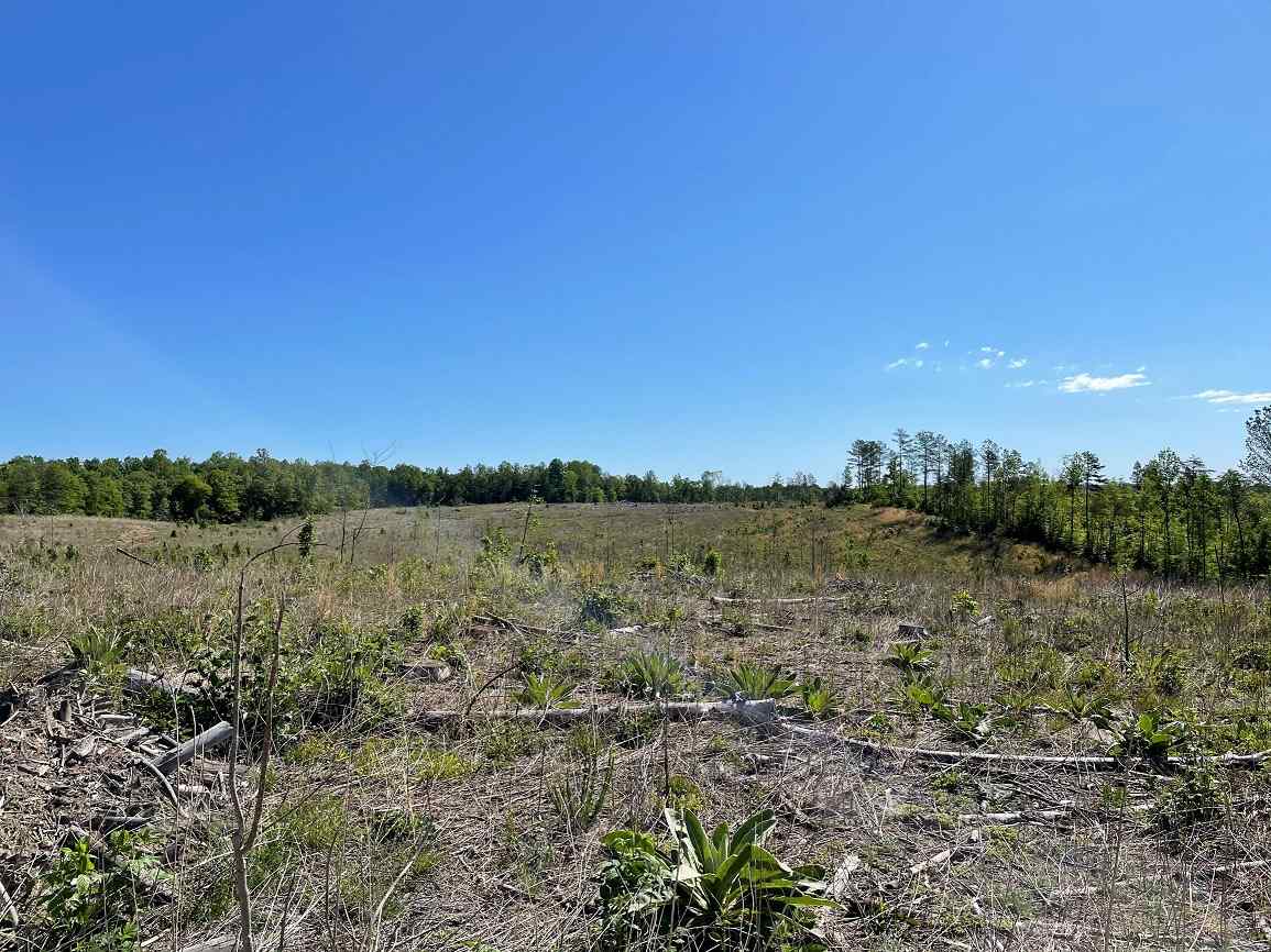 Advance Land and Timber Land for sale property_imgs/6~119.jpg