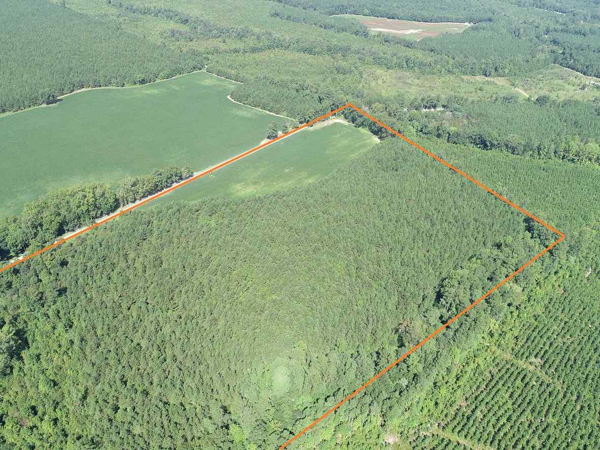 Advance Land and Timber Land for sale property_imgs/6~128.jpg