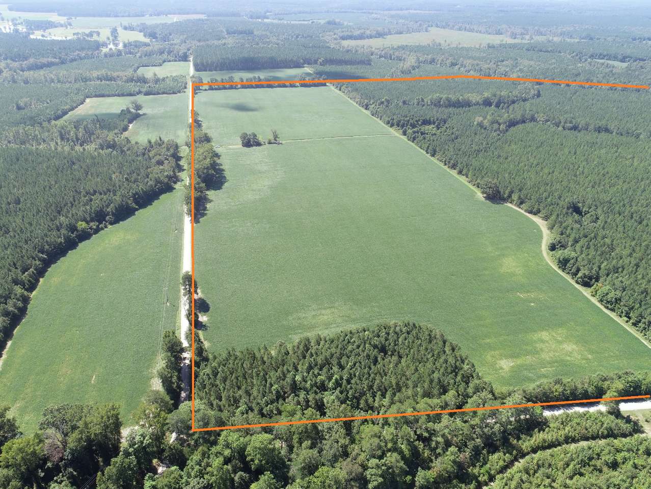 Advance Land and Timber Land for sale property_imgs/6~129.jpg