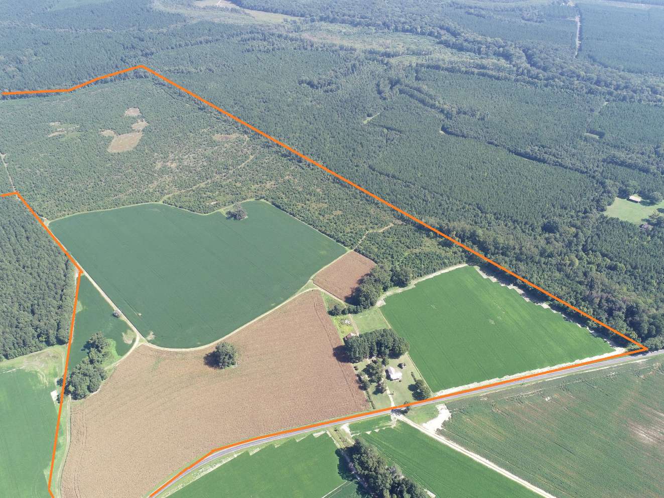 Advance Land and Timber Land for sale property_imgs/6~130.jpg