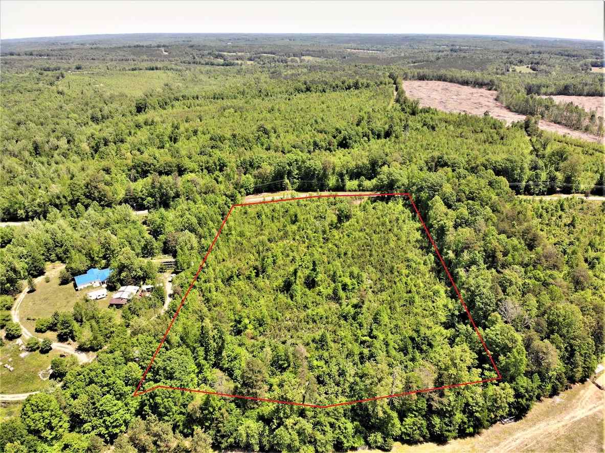 Advance Land and Timber Land for sale property_imgs/6~176.jpg