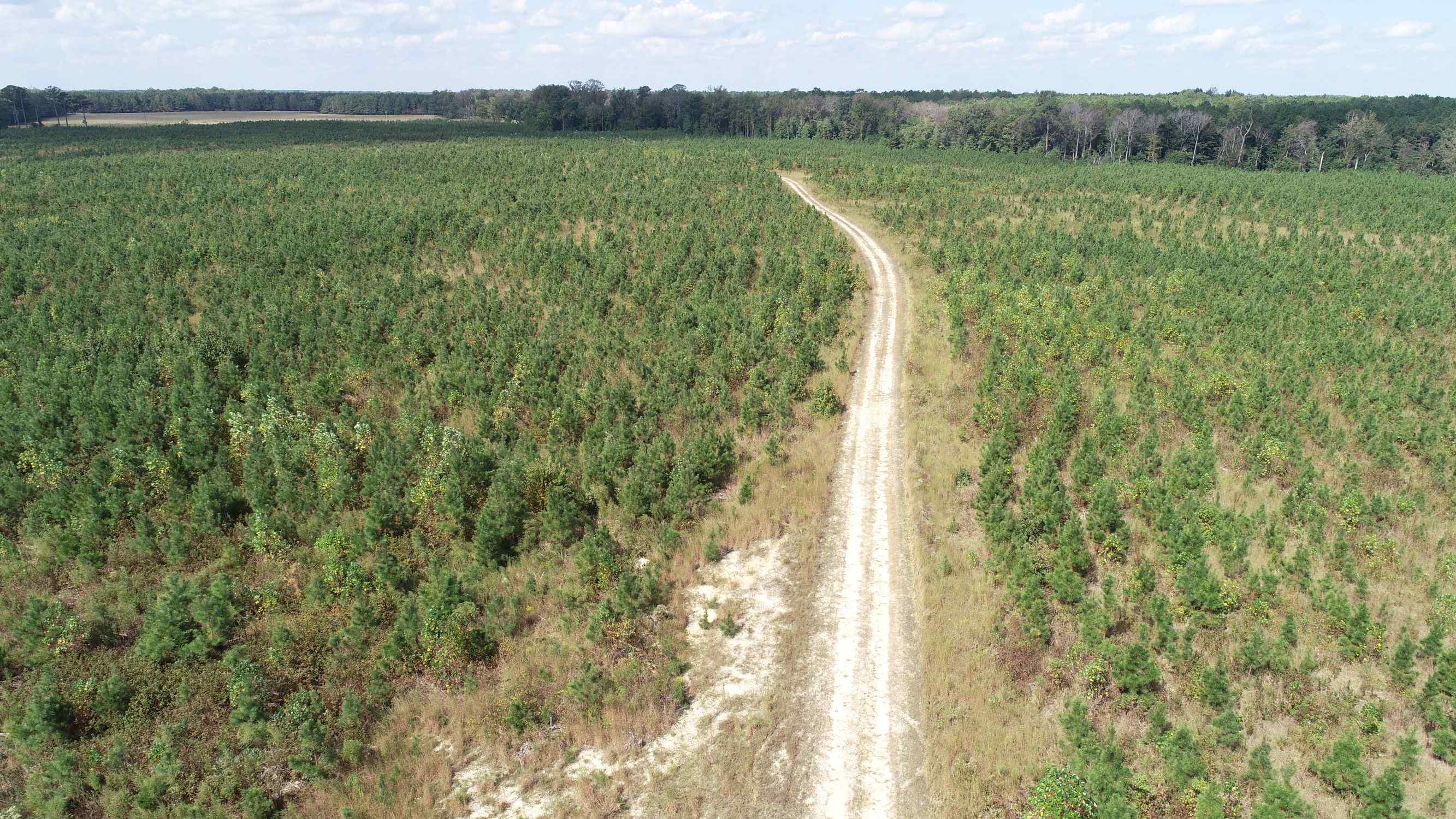 Advance Land and Timber Land for sale property_imgs/6~36.jpg