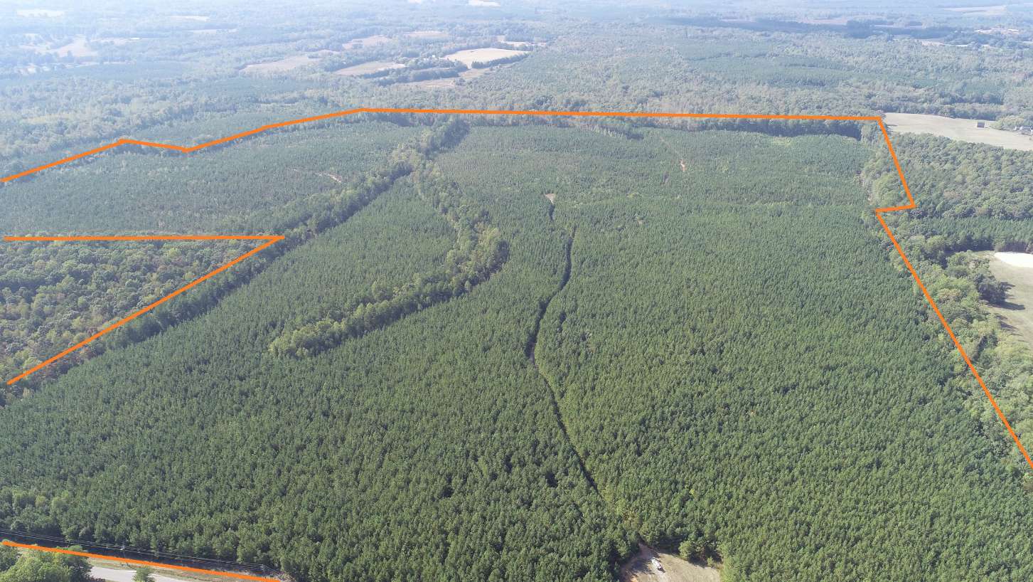 Advance Land and Timber Land for sale property_imgs/6~43.jpg