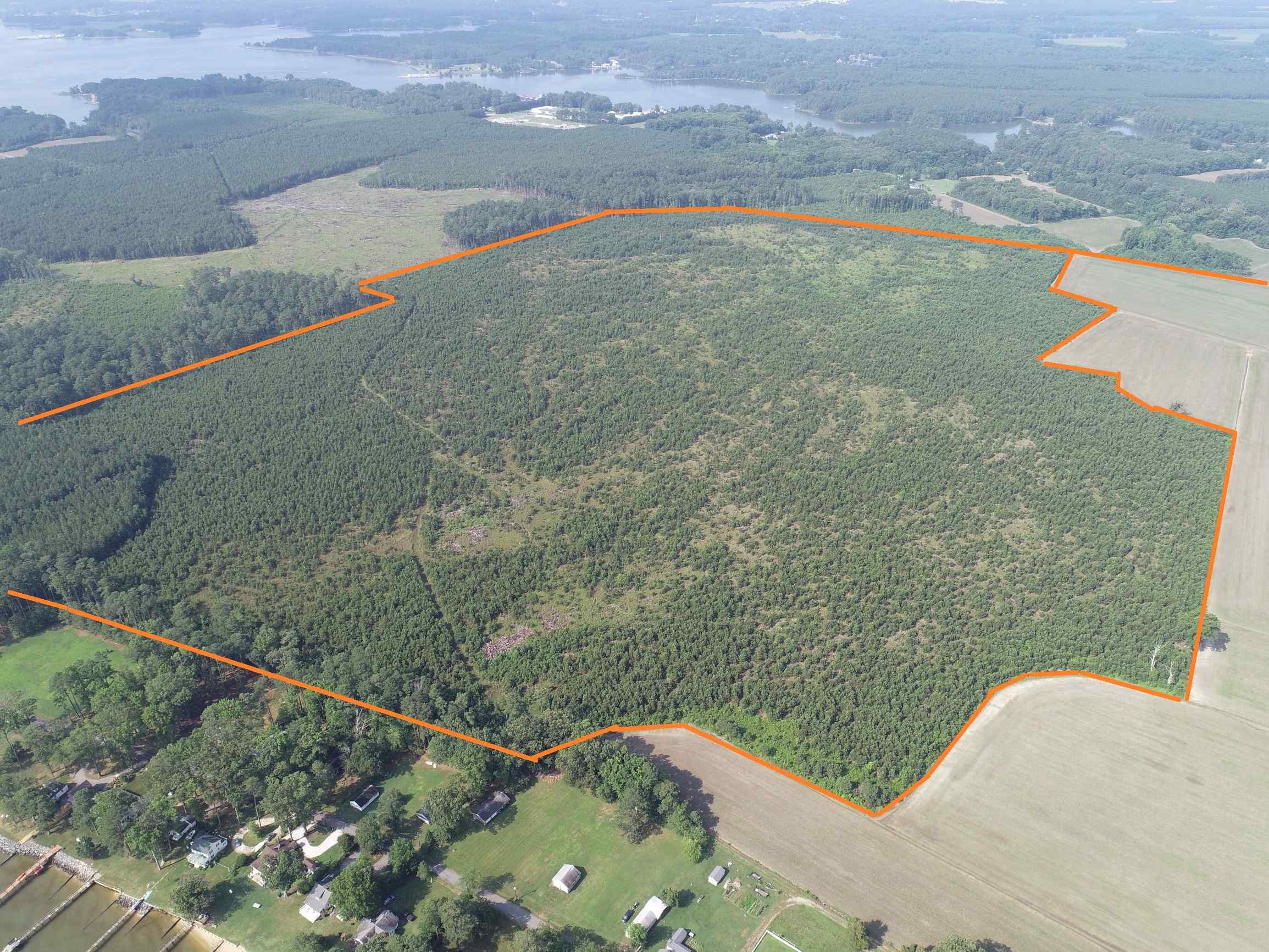 Advance Land and Timber Land for sale property_imgs/6~77.jpg