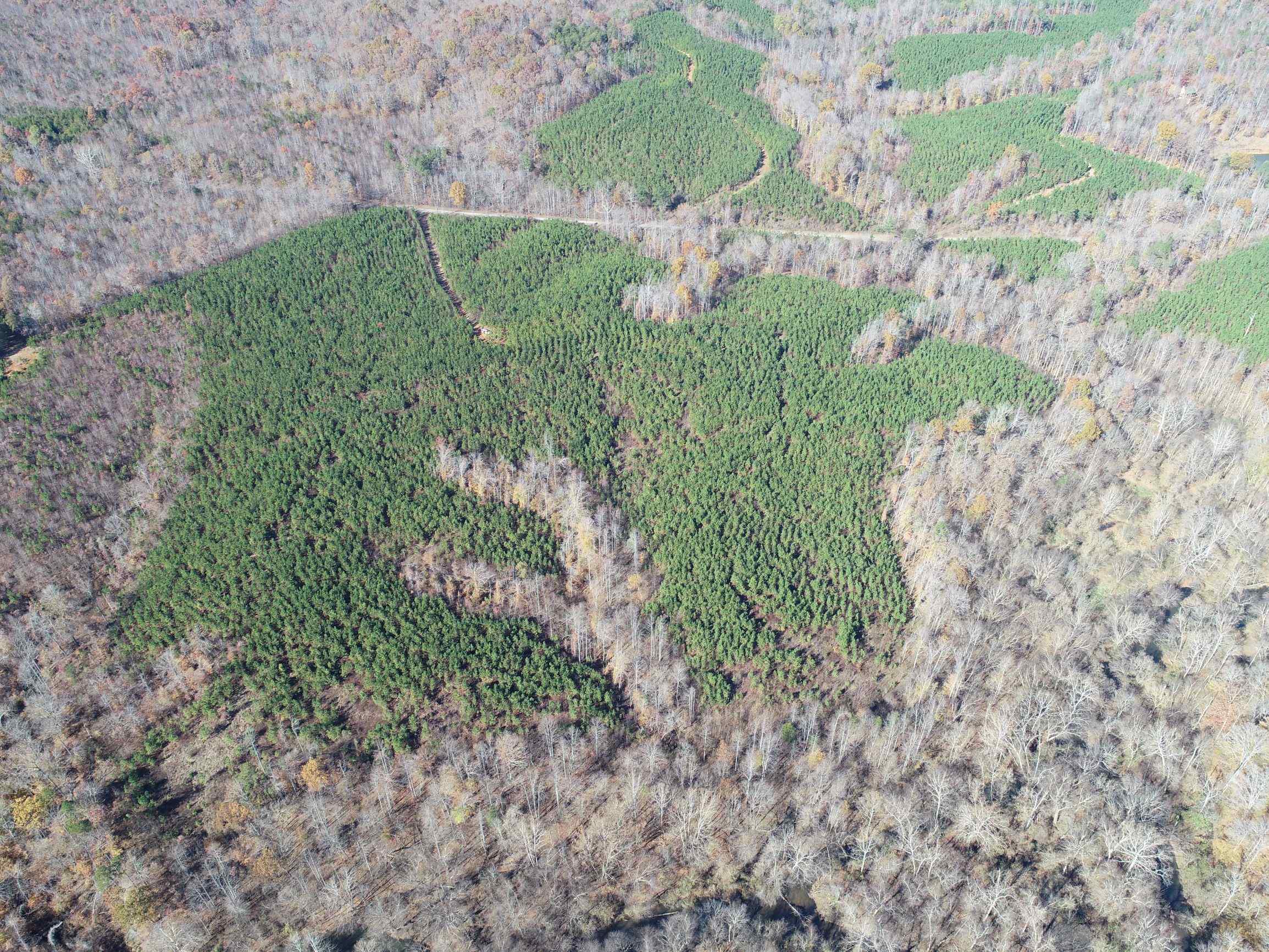 Advance Land and Timber Land for sale property_imgs/6~79.jpg