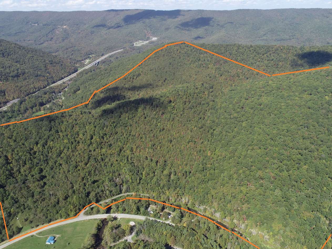 Advance Land and Timber Land for sale property_imgs/6~86.jpg