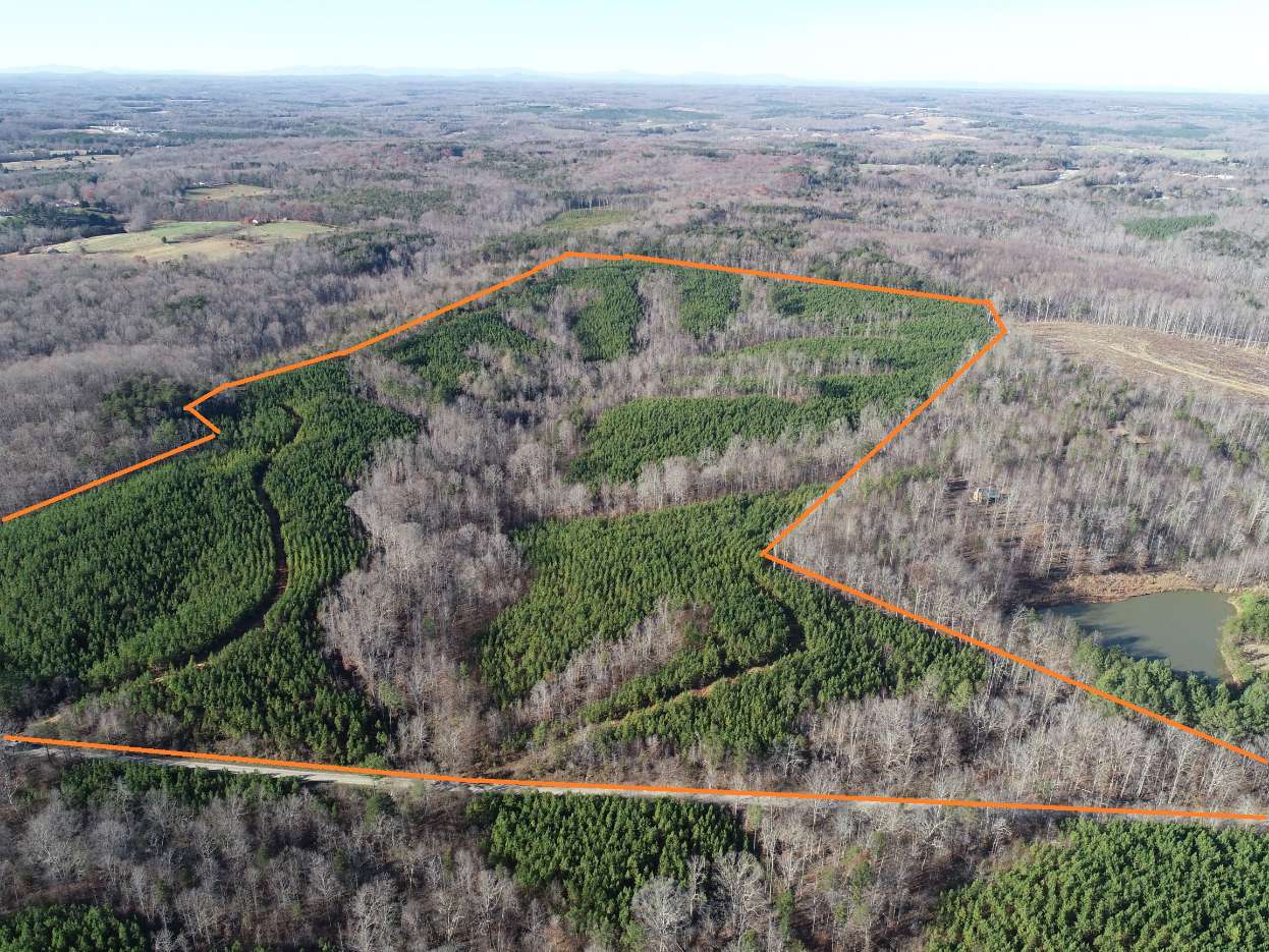 Advance Land and Timber Land for sale property_imgs/6~88.jpg