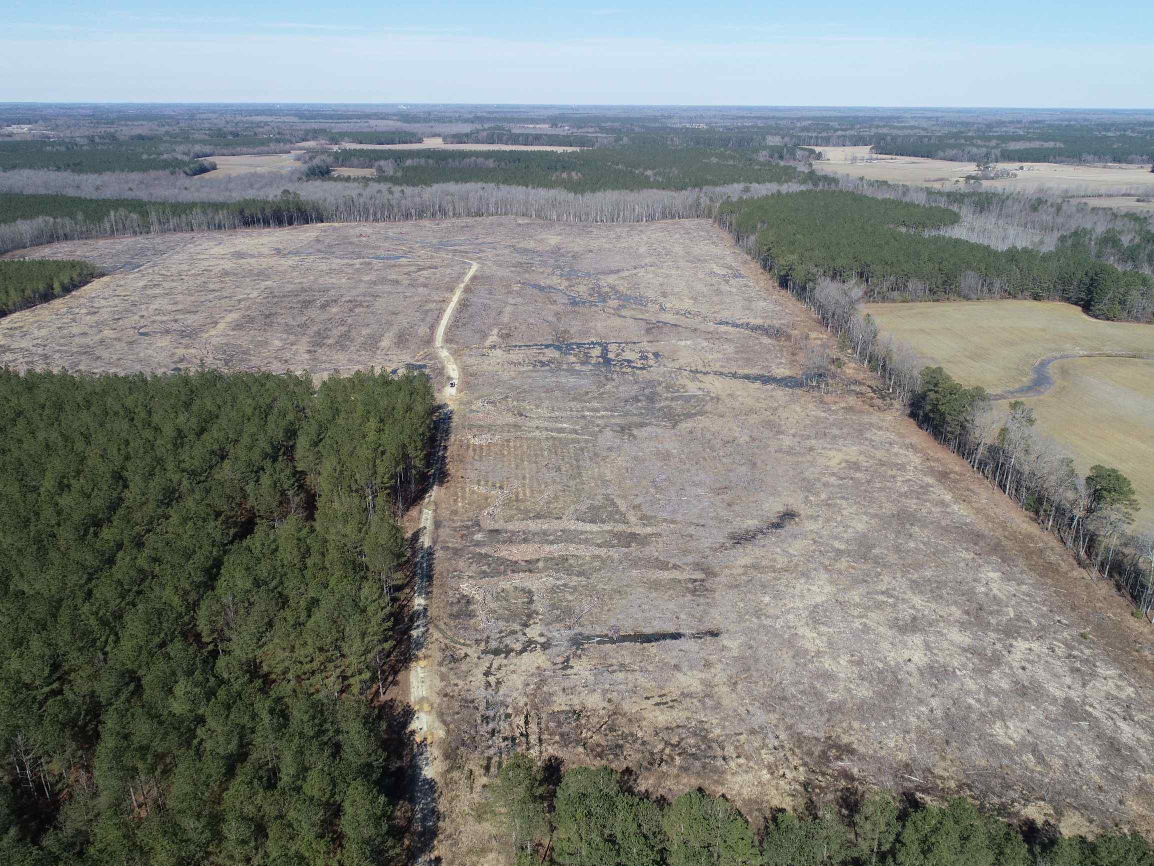 190 acres for sale in Greensville County, VA.