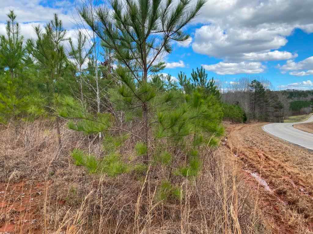 Tippah County Mississippi Land for Sale