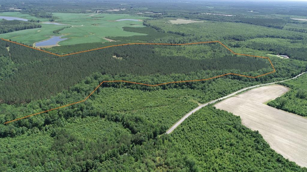 Land for sale Sussex County, VA