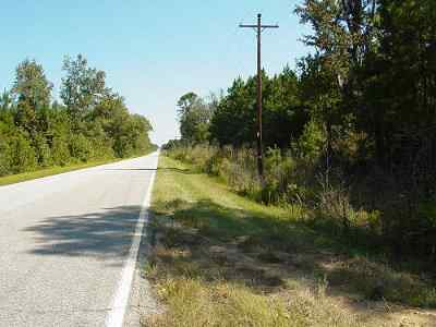 Advance Land and Timber Land for sale property_imgs/74_4.jpg