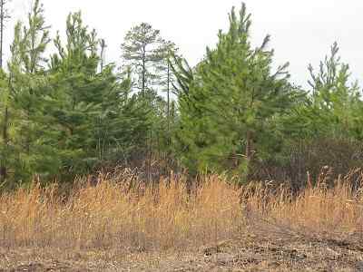Advance Land and Timber Land for sale property_imgs/77_2.jpg