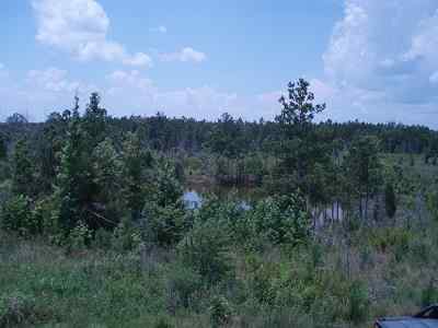 Advance Land and Timber Land for sale property_imgs/7819_3.jpg
